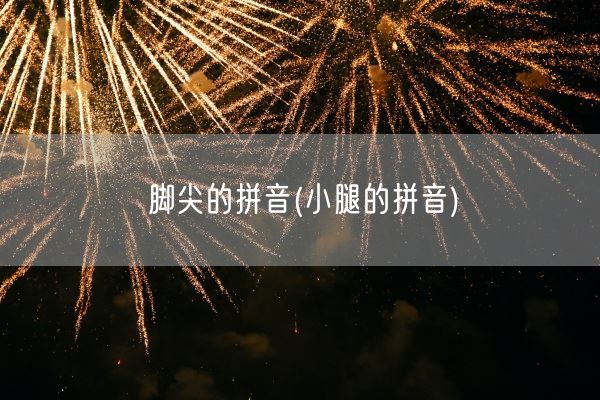 脚尖的拼音(小腿的拼音)(图1)