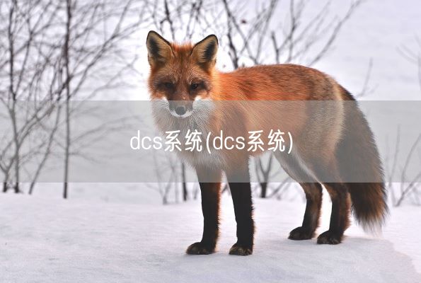 dcs系统(dcs系统)(图1) dcs系统(dcs系统)(图1)