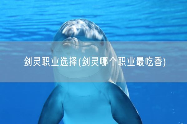 剑灵职业选择(剑灵哪个职业最吃香)(图1) 剑灵职业选择(剑灵哪个职业最吃香)(图1)