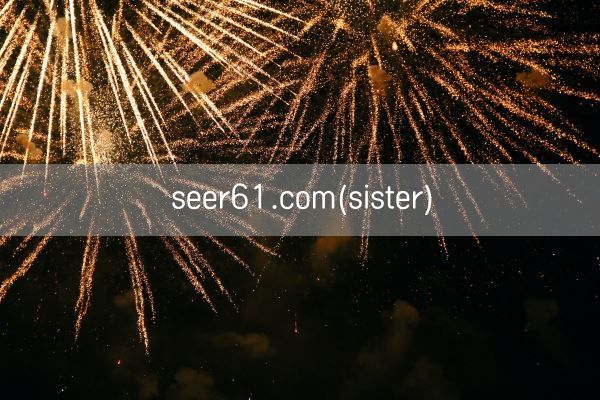 seer61.com(sister)(图1)
