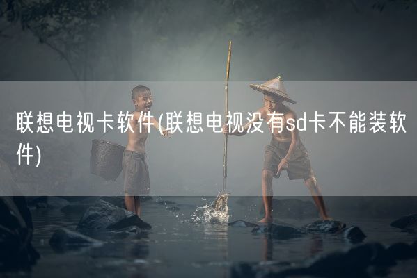 联想电视卡软件(联想电视没有sd卡不能装软件)(图1) 联想电视卡软件(联想电视没有sd卡不能装软件)(图1)