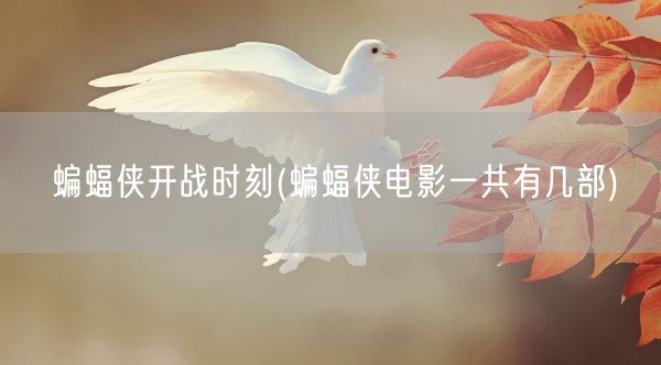 蝙蝠侠开战时刻(蝙蝠侠电影一共有几部)(图1) 蝙蝠侠开战时刻(蝙蝠侠电影一共有几部)(图1)