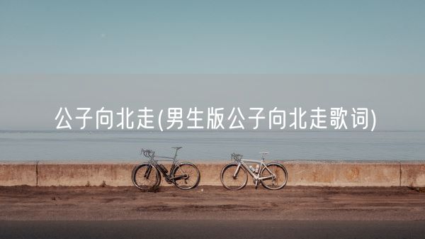 公子向北走(男生版公子向北走歌词)(图1)