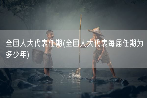 全国人大代表任期(全国人大代表每届任期为多少年)(图1)