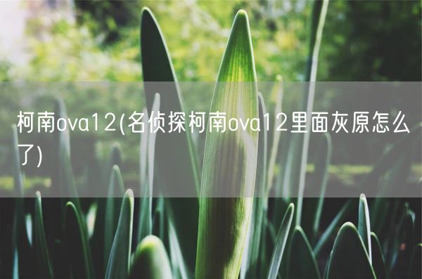 柯南ova12(名侦探柯南ova12里面灰原怎么了)(图1) 柯南ova12(名侦探柯南ova12里面灰原怎么了)(图1)