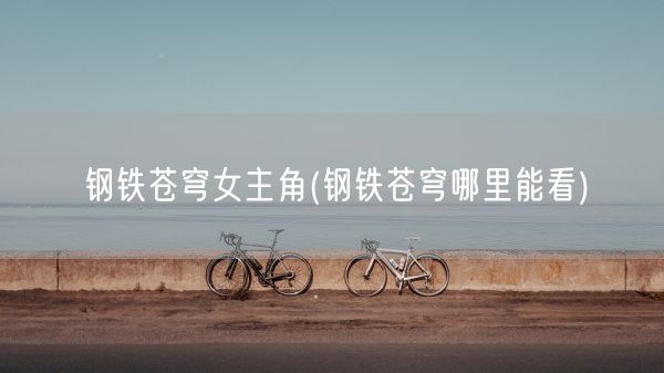 钢铁苍穹女主角(钢铁苍穹哪里能看)(图1)