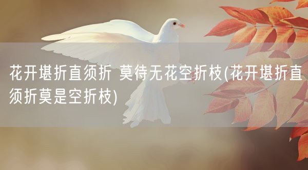 花开堪折直须折 莫待无花空折枝(花开堪折直须折莫是空折枝)(图1) 花开堪折直须折 莫待无花空折枝(花开堪折直须折莫是空折枝)(图1)
