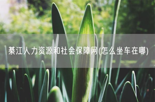 綦江人力资源和社会保障网(怎么坐车在哪)(图1)