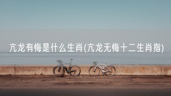 亢龙有悔是什么生肖(亢龙无悔十二生肖指)(图1) 亢龙有悔是什么生肖(亢龙无悔十二生肖指)(图1)