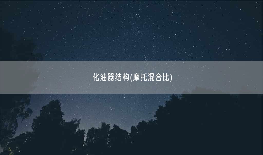 化油器结构(摩托混合比)(图1)