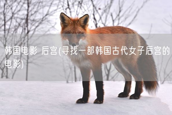 韩国电影 后宫(寻找一部韩国古代女子后宫的电影)(图1) 韩国电影 后宫(寻找一部韩国古代女子后宫的电影)(图1)
