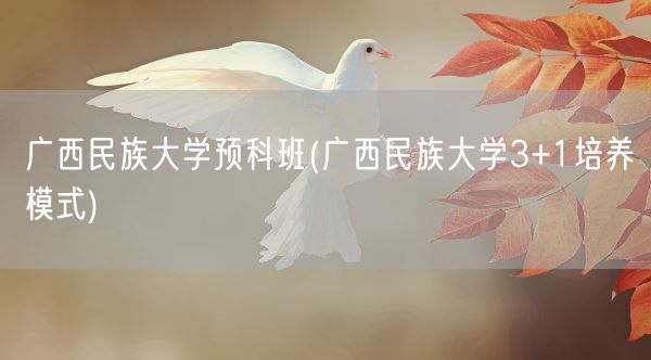 广西民族大学预科班(广西民族大学3+1培养模式)(图1) 广西民族大学预科班(广西民族大学3+1培养模式)(图1)