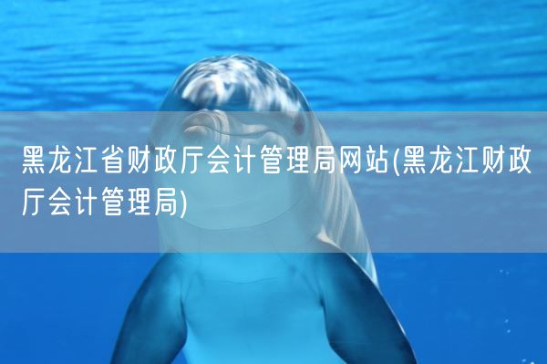 黑龙江省财政厅会计管理局网站(黑龙江财政厅会计管理局)(图1)