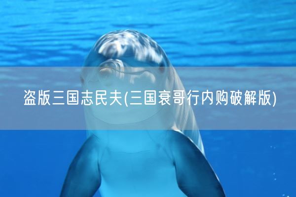 盗版三国志民夫(三国衰哥行内购破解版)(图1)