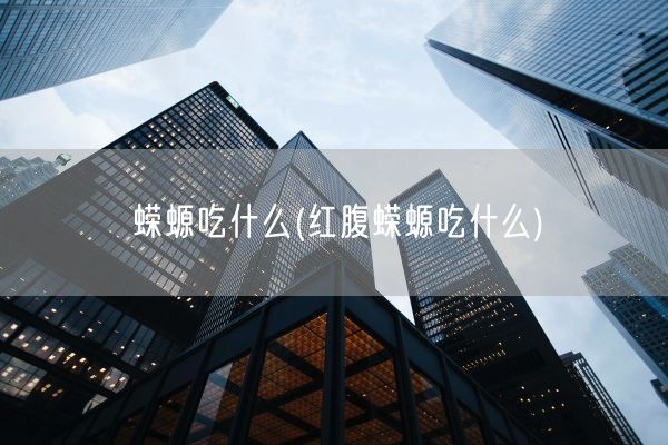 蝾螈吃什么(红腹蝾螈吃什么)(图1)