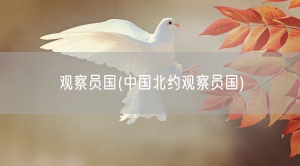 观察员国(中国北约观察员国)(图1)