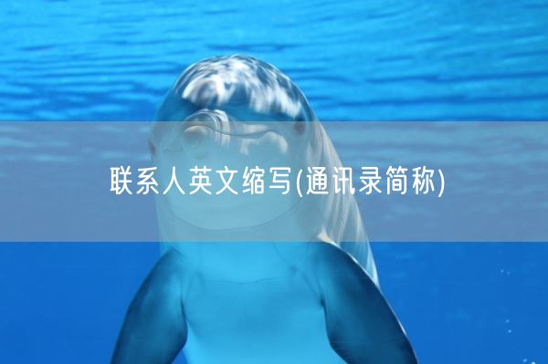 联系人英文缩写(通讯录简称)(图1)