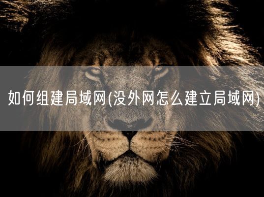 如何组建局域网(没外网怎么建立局域网)(图1)