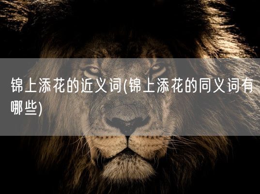 锦上添花的近义词(锦上添花的同义词有哪些)(图1)