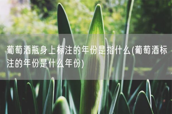 葡萄酒瓶身上标注的年份是指什么(葡萄酒标注的年份是什么年份)(图1) 葡萄酒瓶身上标注的年份是指什么(葡萄酒标注的年份是什么年份)(图1)