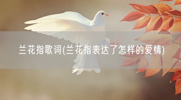 兰花指歌词(兰花指表达了怎样的爱情)(图1)