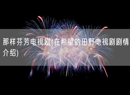 那样芬芳电视剧(在希望的田野电视剧剧情介绍)(图1)