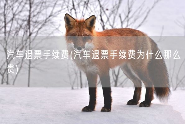 汽车退票手续费(汽车退票手续费为什么那么贵)(图1)