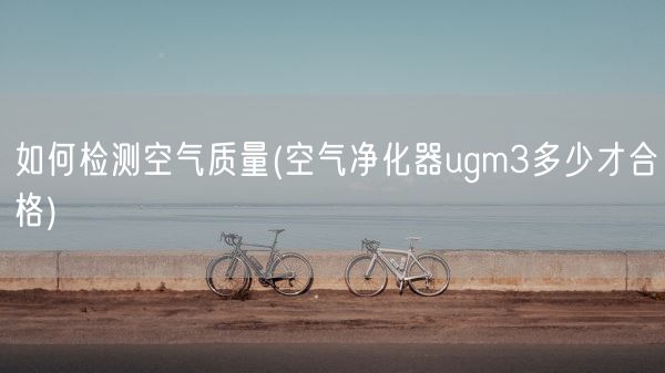 如何检测空气质量(空气净化器ugm3多少才合格)(图1)