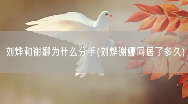 刘烨和谢娜为什么分手(刘烨谢娜同居了多久)(图1) 刘烨和谢娜为什么分手(刘烨谢娜同居了多久)(图1)