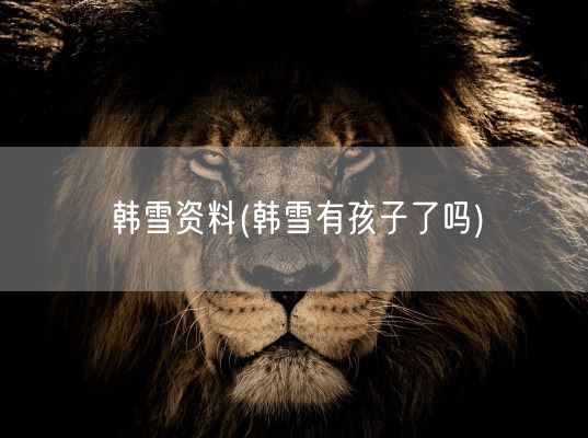 韩雪资料(韩雪有孩子了吗)(图1)