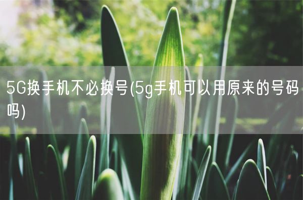 5G换手机不必换号(5g手机可以用原来的号码吗)(图1)
