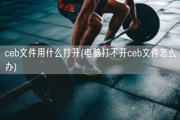 ceb文件用什么打开(电脑打不开ceb文件怎么办)(图1)