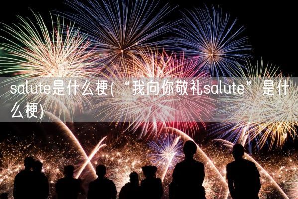 salute是什么梗(“我向你敬礼salute”是什么梗)(图1)