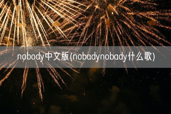 nobody中文版(nobadynobady什么歌)(图1)