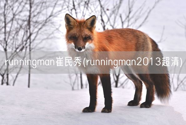 runningman崔民秀(runningman2013超清)(图1)