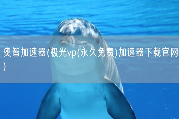 奥智加速器(极光vp(永久免费)加速器下载官网)(图1)