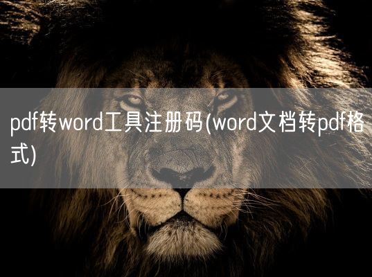 pdf转word工具注册码(word文档转pdf格式)(图1)