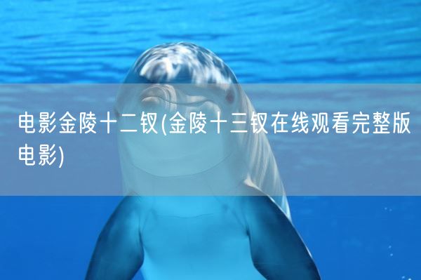 电影金陵十二钗(金陵十三钗在线观看完整版电影)(图1)