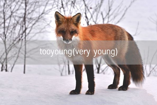 tooyoung(very young)(图1)
