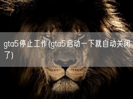 gta5停止工作(gta5启动一下就自动关闭了)(图1)