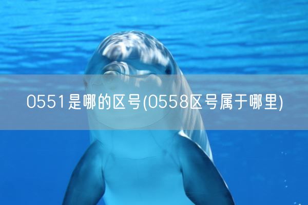 0551是哪的区号(0558区号属于哪里)(图1)