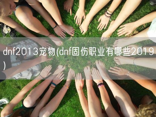 dnf2013宠物(dnf固伤职业有哪些2019)(图1)