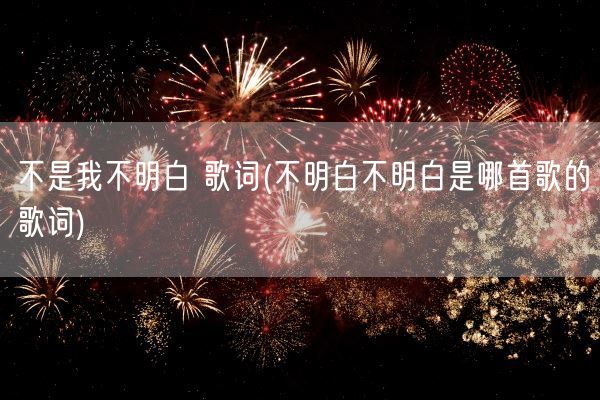 不是我不明白 歌词(不明白不明白是哪首歌的歌词)(图1) 不是我不明白 歌词(不明白不明白是哪首歌的歌词)(图1)