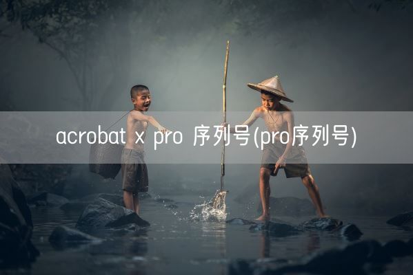 acrobat x pro 序列号(pro序列号)(图1)