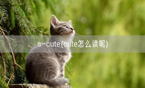 s-cute(cute怎么读呢)(图1) s-cute(cute怎么读呢)(图1)