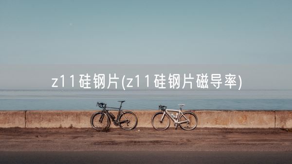 z11硅钢片(z11硅钢片磁导率)(图1)