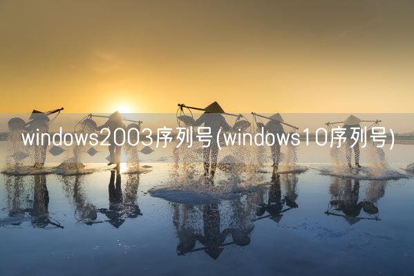 windows2003序列号(windows10序列号)(图1)