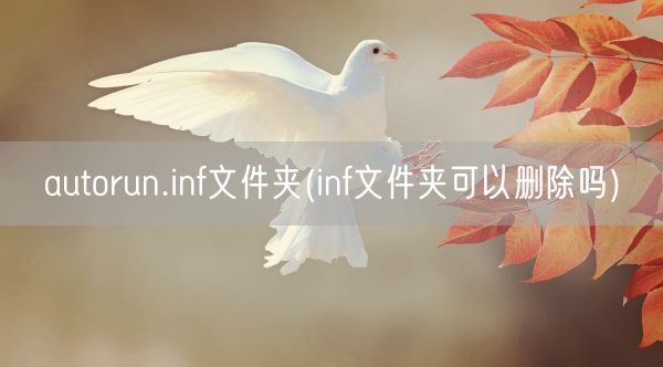 autorun.inf文件夹(inf文件夹可以删除吗)(图1)