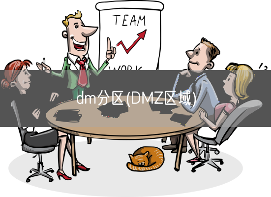 dm分区(DMZ区域)(图1)