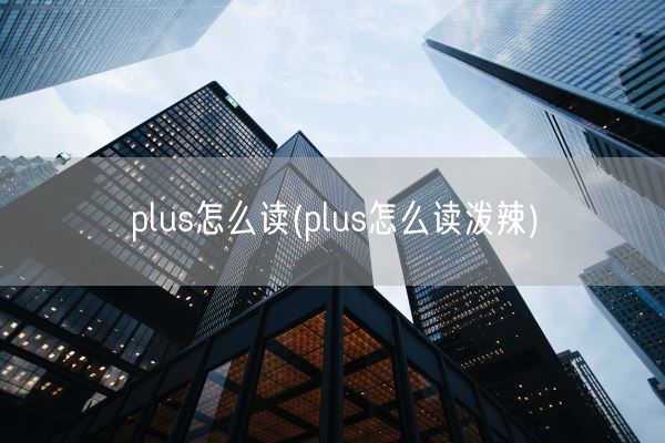 plus怎么读(plus怎么读泼辣)(图1)